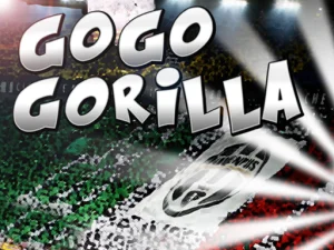 Go Go Gorilla image