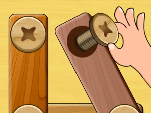 Screw Puzzle image