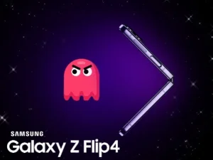 Flipman image