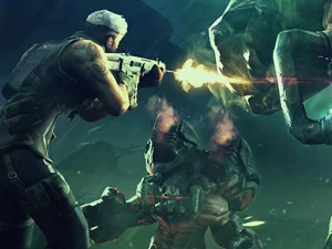 Assault Fury image