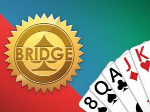 Bridge image