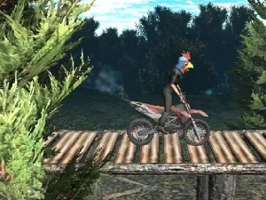 Bike Trial Xtreme Forest image