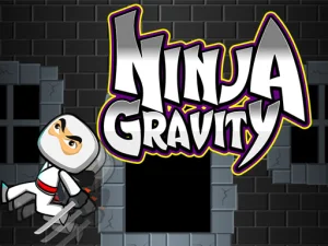Ninja Gravity image