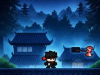 Ninja Warrior Game image