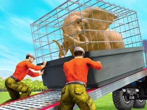 Cargo Truck Transport Hunt image