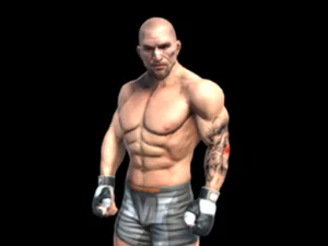 Fight Arena Online image
