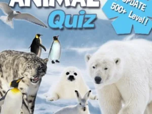 Animal Quiz image