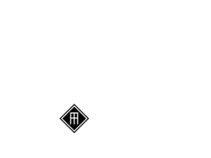 Commando image