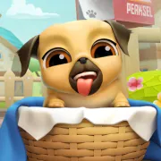 Pet Grooming
