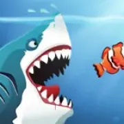 Sharks image