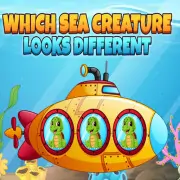 Which Sea Creature...
