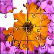 photopuzzles